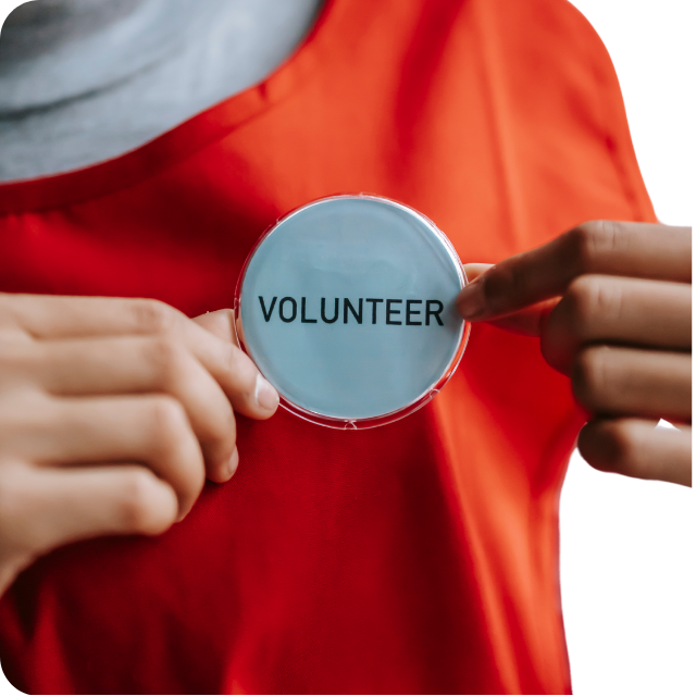 A person wearing a red shirt is holding a button with the word volunteer on it.
